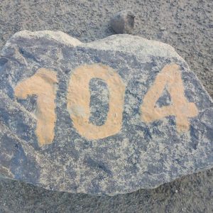 104kg 104kg