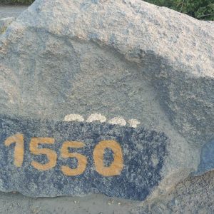 1550kg 1550kg